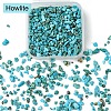 50G Natural Howlite Chip Beads G-YW0001-81-2