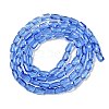 Transparent Glass Beads Strands GLAA-Z018-C18-2