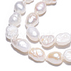 Natural Cultured Freshwater Pearl Beads Strands X-PEAR-N014-05K-5