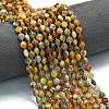 Natural Crazy Agate Beads Strands G-K389-B71-01-1