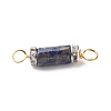 Natural Mixed Gemstone Connector Charms PALLOY-JF01885-6