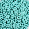 Baking Paint Glass Seed Beads X1-SEED-K010-A19-2