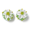 Handmade Lampwork Enamel Beads LAMP-Z020-05B-1