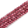 Natural Rhodonite Beads Strands G-P553-G06-02-2