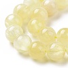 Electroplated Natural Yellow Selenite Beads Strands G-N328-025B-03-1-4