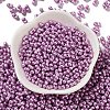 Glass Seed Beads SEED-L011-04A-03-2