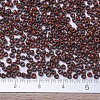 MIYUKI Round Rocailles Beads X-SEED-G007-RR4520-3