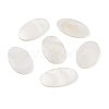 Natural Freshwater Shell Cabochons BSHE-G036-10C-1