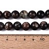 Natural Biotite Beads Strands G-Q616-01D-5
