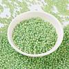 MIYUKI Round Rocailles Beads SEED-JP0009-RR0676-2