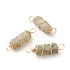 Natural Labradorite Connector Charms PALLOY-JF01580-01-1