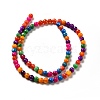 Dyed Natural Freshwater Shell Beads Strands SHEL-G014-05D-01-2