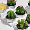 Cactus Paraffin Smokeless Candles DIY-G024-D-3
