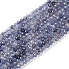 Natural Iolite Beads Strands X-G-N342-32-1
