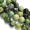 Natural Serpentine Beads Strands G-Z110-C04-10mm-4