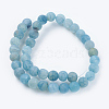 Natural Weathered Agate Beads Strands X-G-G589-10mm-14-2