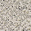 MIYUKI Delica Beads SEED-MY11-DB0883-3