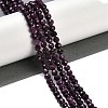 Natural Ruby Beads Strands G-P553-G01-04-2