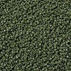 MIYUKI Delica Beads SEED-X0054-DB1135-3