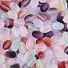 Frosted Glass Seed Beads SEED-N008-05-3
