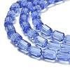 Transparent Glass Beads Strands GLAA-G112-05E-3