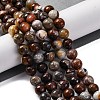 Natural Mexico Crazy Agate Beads Strands G-L615-A01-02-2