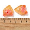Ice Ocean Theme Opaque Resin Cabochons CRES-D040-02F-3