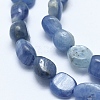 Natural Kyanite/Cyanite/Disthene Bead Strands X-G-E483-46-3