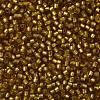 TOHO Round Seed Beads SEED-TR11-0022CF-2