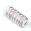 Segment Dyed Round Polyester Sewing Thread OCOR-Z001-B-02-2