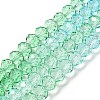 Transparent Painted Glass Beads Strands X1-DGLA-A034-T6mm-A16-2