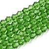 Imitation Austrian Crystal 5301 Bicone Beads GLAA-S026-6mm-01-1