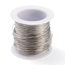 Non-Tarnish 316 Stainless Steel Wire TWIR-L004-01C-P