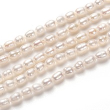 Natural Cultured Freshwater Pearl Beads Strands PEAR-L033-58-01
