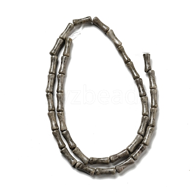 Natural Fossil Coral Beads Strands G-C245-03-1