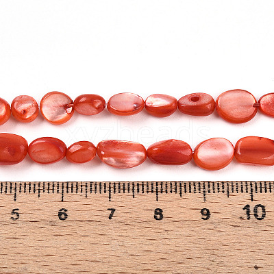 Natural White Shell Beads Strands SHEL-N036-21F-1