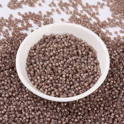 MIYUKI Round Rocailles Beads SEED-X0055-RR0641-1