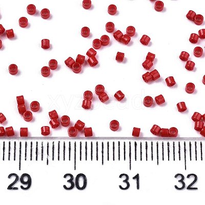 FGB 11/0 Grade A Glass Seed Beads X-SEED-S030-1016-1