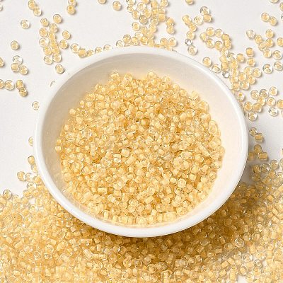 12/0 Transparent Glass Seed Beads X-SEED-F003-03C-14-1