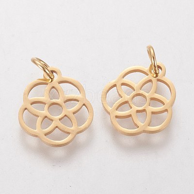 304 Stainless Steel Pendants STAS-Q201-T454G-1