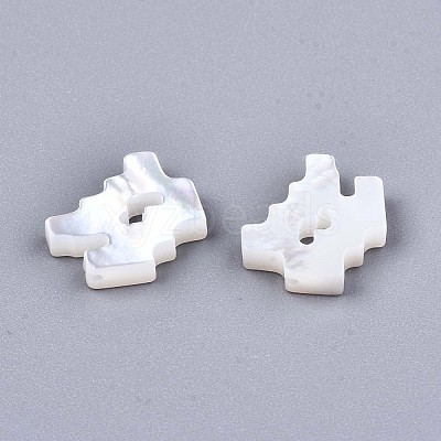 Natural White Shell Beads X-SSHEL-ZX004-02L-1