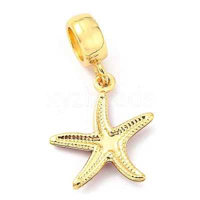 Brass Enamel European Dangle Charms KK-M247-11G-03-1