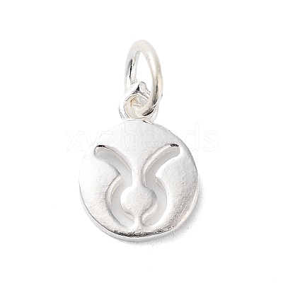 925 Sterling Silver Constellations Charms LS-STER-M118-01B-1