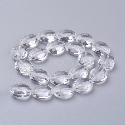 Glass Bead Strands X-GLAA-S003-20x11mm-14-1