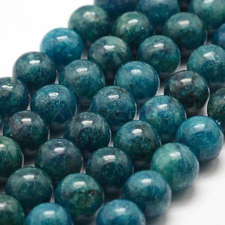 Natural Apatite Beads Strands G-F475-06-10mm-1