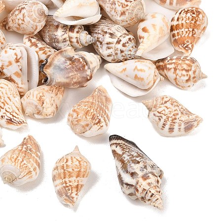 Natural Conch Shell Beads X-BSHE-O007-57-1
