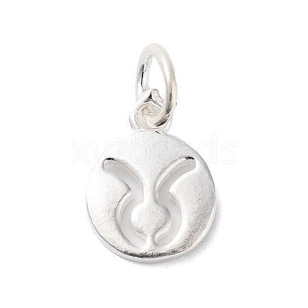925 Sterling Silver Constellations Charms LS-STER-M118-01B-1