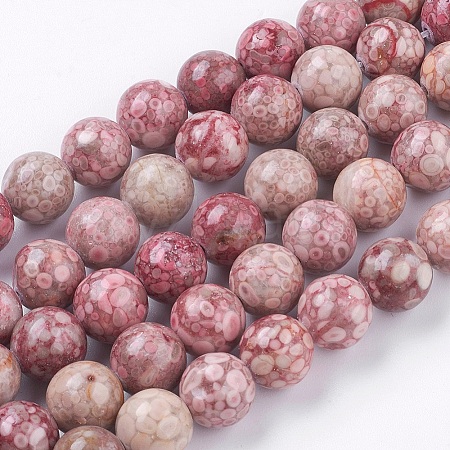 Natural Fossil Coral Beads Strands G-F563-01-10mm-1