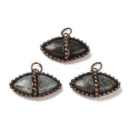 Natural Labradorite Pendants G-G004-03R-1