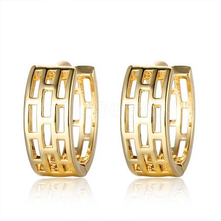Brass Hoop Earrings EJEW-S205-JN460-2-1